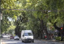 San Isidro: Martínez y Acassuso ya cuentan con 425 nuevas cámaras con IA