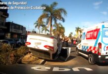 Imprudencia al volante en General Pacheco: un vehículo chocó a otro en plena avenida, uno de ellos volcó y ocasionó la caída de una palmera