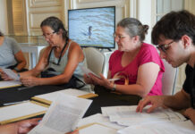 Verano en el MAT: el Municipio de Tigre invita a participar de talleres y actividades artísticas