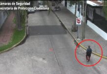 Hurtó la bicicleta de una vecina y fue detenido inmediatamente por el COT: quedó a disposición de la Justicia