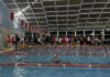 El Municipio de Tigre realizó una nueva capacitación sobre natación para profesores de diferentes polideportivos