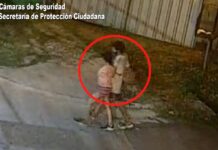 Las cámaras del COT detectaron un hurto en Don Torcuato: los sospechosos quedaron detenidos