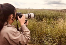 Calendario de eventos turísticos Provincia de Buenos Aires