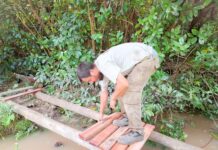 Gestión municipal: continúan las obras de infraestructura en el Delta de Tigre