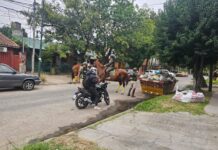 San Isidro refuerza la seguridad en Beccar y La Cava con operativos dinámicos de Gendarmería Nacional, la UTOI y las Brigadas de la Patrulla Municipal