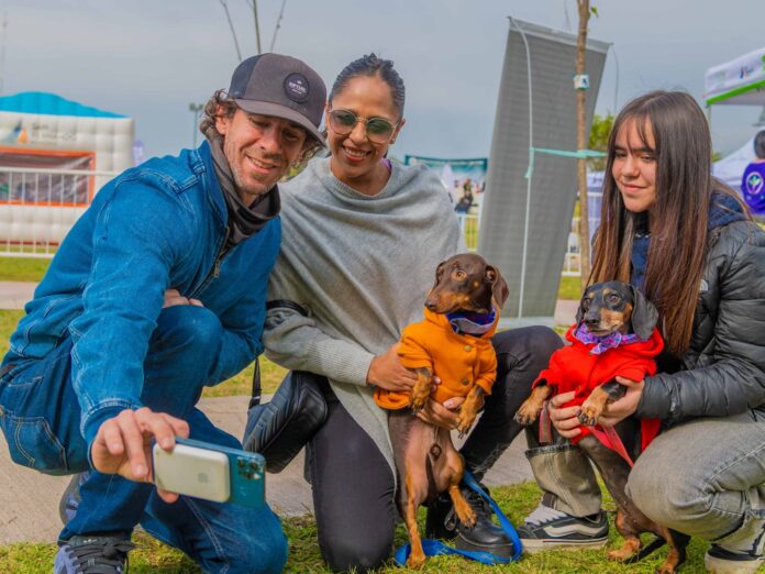 1 dia del animal 2026 san fernando