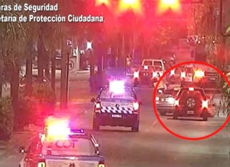 Manejaba alcoholizado, bajo los efectos de drogas y se dio a la fuga: quedó detenido