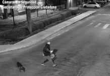 Hurtó una bicicleta de niño en la madrugada y quedó detenido por el COT