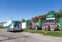 San Isidro: aumentaron un 17% las castraciones de perros y gatos