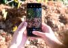 Más ágil, simple y cercana: llegó la nueva app de Tigre Sirve