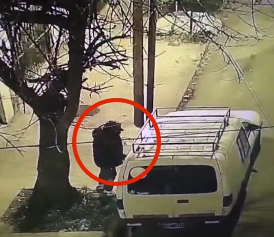 Cámaras de Seguridad de San Fernando frustraron al instante el intento de robo de una camioneta