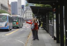 Modificaciones en el transporte del AMBA por el partido de la Selección