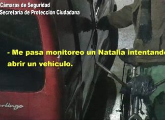 Un malviviente fue detenido por el COT luego de intentar robar un vehículo en Troncos del Talar