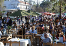 Paseo Victorica, Dique Luján-Villa La Ñata y el Boulevard Saénz Peña, opciones imperdibles para disfrutar la naturaleza y la gastronomía