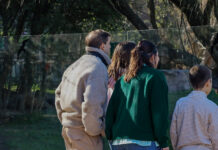“Salí de la pantalla, viví Temaikèn”: en vacaciones de invierno, el Bioparque propone experiencias renovadas para toda la familia