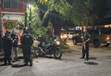 San Isidro: más de 1.240 detenidos y una caída del 80% en el robo de autos