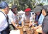Sabores, bombos y tradiciones: tres fiestas para recorrer la identidad bonaerense
