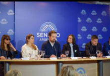 Alerta de las provincias por el aumento de la demanda en salud mental