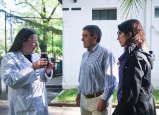 La Ciudad lanza la campaña de prevención contra el dengue