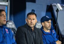 Diego Dabove renunció como DT de Tigre