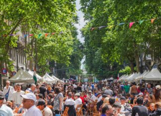 Una feria gigante para celebrar a 50 colectividades en la Avenida de Mayo