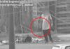 Portaba un arma de fuego y amenazaba a los vecinos de Los Tábanos: fue detenido rápidamente por el COT