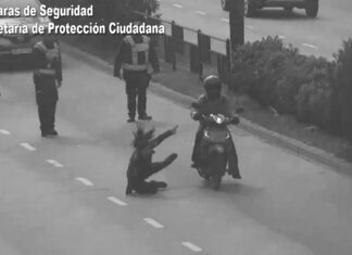 Atropelló a un efectivo de la Policía, se dio a la fuga y fue detenida: manejaba bajo los efectos del alcohol y las drogas