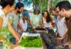 Vicente López presenta el Festival Bienestar con gastronomía, naturaleza y actividades gratuitas