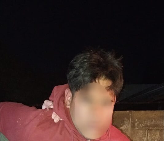 San Isidro: la Patrulla Municipal detectó un auto sospechoso y detuvo a dos hombres tras una persecución en Boulogne