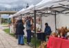 “Arte en el Concejo”, la iniciativa tuvo una nueva edición con clases abiertas en el HCD de Tigre