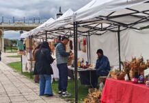 “Arte en el Concejo”, la iniciativa tuvo una nueva edición con clases abiertas en el HCD de Tigre