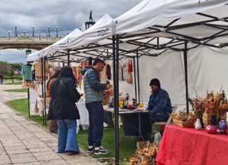 “Arte en el Concejo”, la iniciativa tuvo una nueva edición con clases abiertas en el HCD de Tigre
