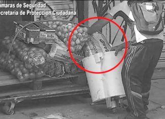 Un individuo fue aprehendido en General Pacheco luego de hurtar mercancía de una verdulería