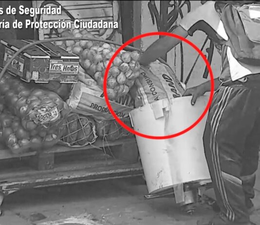 Un individuo fue aprehendido en General Pacheco luego de hurtar mercancía de una verdulería